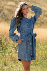 Tora Denim Dress | Light Wash